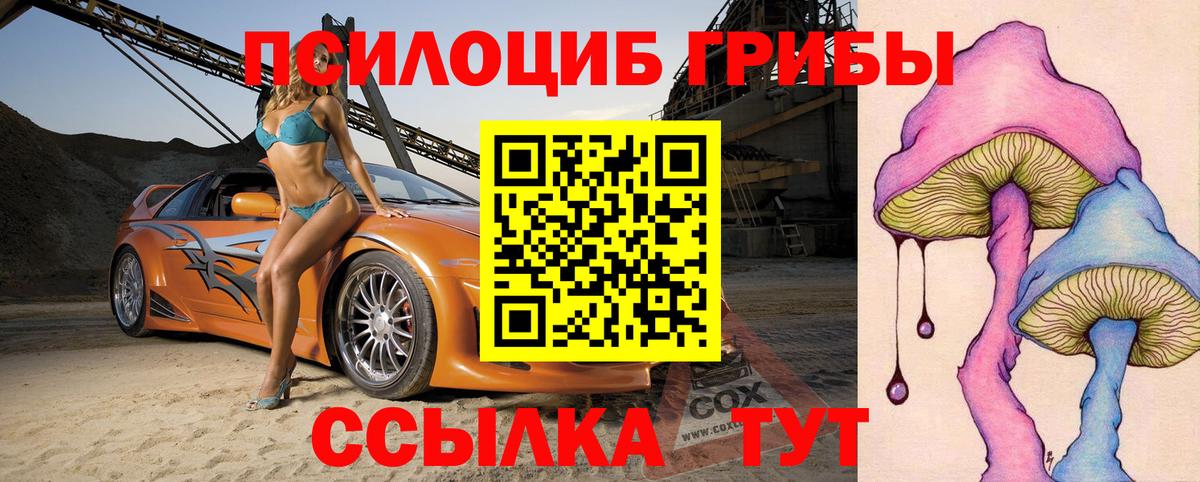 Псилоцибиновые грибы мицелий  Вход с VPN  Галлюциногенные грибы Psilocybine cubensis  Майкоп 